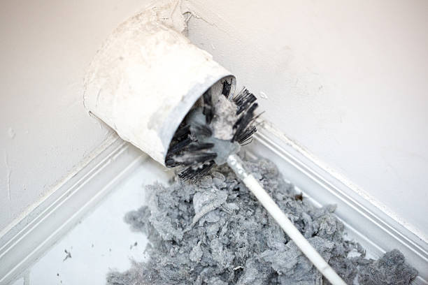 Best Professional Duct Cleaning Services  in Fritch, TX